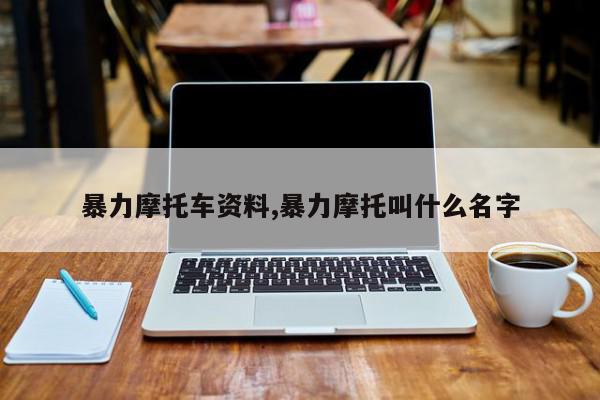 暴力摩托车资料,暴力摩托叫什么名字