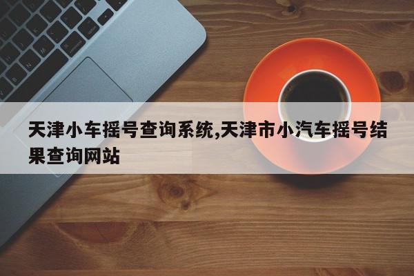 天津小车摇号查询系统,天津市小汽车摇号结果查询网站