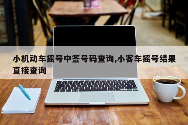 小机动车摇号中签号码查询,小客车摇号结果直接查询