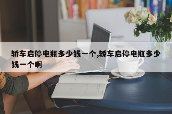 轿车启停电瓶多少钱一个,轿车启停电瓶多少钱一个啊