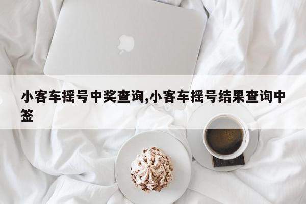 小客车摇号中奖查询,小客车摇号结果查询中签