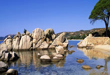 戏剧三要素是什么?,戏剧三要素是哪三个